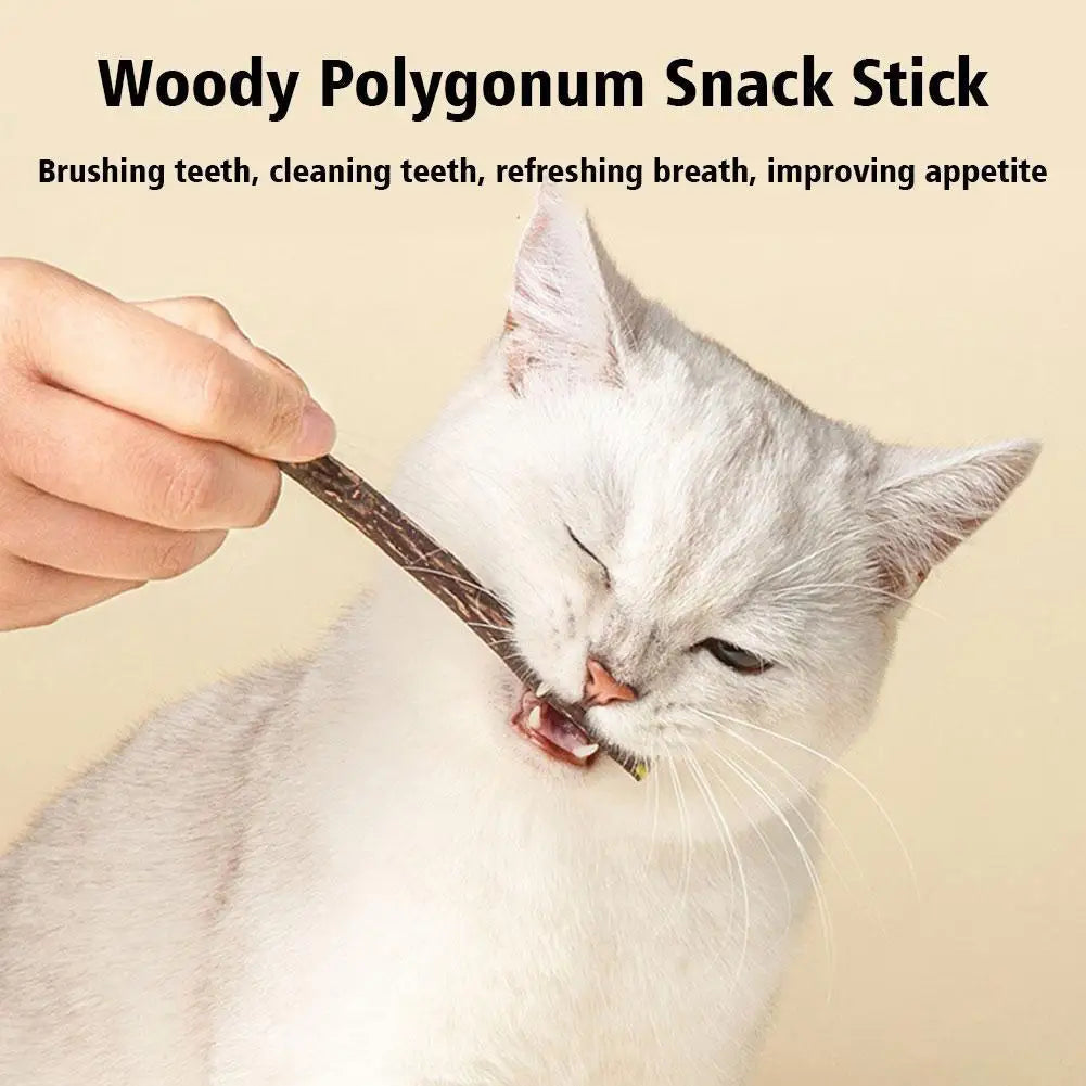5Pcs Natural Catnip Pet Cat Molar Toothpaste Stick Cat Kitten Chew Toys Pet Supplies Cat Snacks Sticks Healthy Pet Accessories