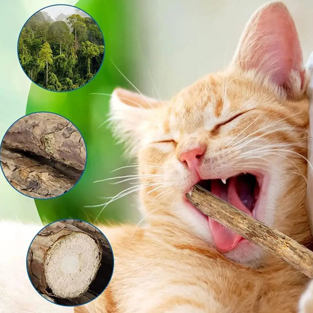 5Pcs Natural Catnip Pet Cat Molar Toothpaste Stick Cat Kitten Chew Toys Pet Supplies Cat Snacks Sticks Healthy Pet Accessories