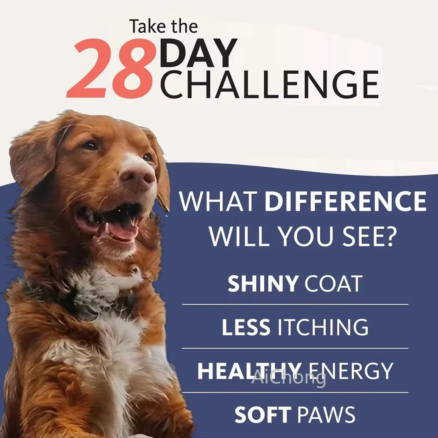500Ml Natural Salmon Oil for Dogs - Omega Fatty Acids Supplement - Human Grade Nutritional Health Support
