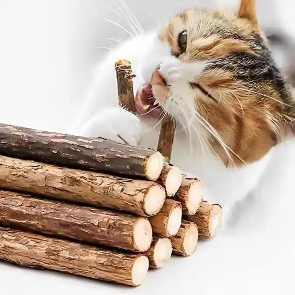 5Pcs Natural Catnip Pet Cat Molar Toothpaste Stick Cat Kitten Chew Toys Pet Supplies Cat Snacks Sticks Healthy Pet Accessories