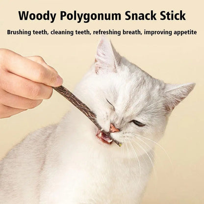 5Pcs Natural Catnip Pet Cat Molar Toothpaste Stick Cat Kitten Chew Toys Pet Supplies Cat Snacks Sticks Healthy Pet Accessories