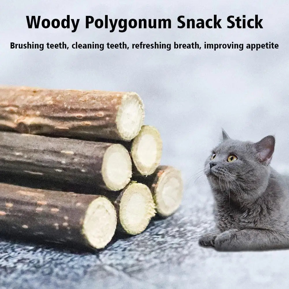 5Pcs Natural Catnip Pet Cat Molar Toothpaste Stick Cat Kitten Chew Toys Pet Supplies Cat Snacks Sticks Healthy Pet Accessories